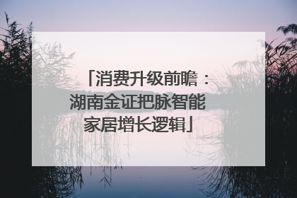 消费升级前瞻：湖南金证把脉智能家居增长逻辑