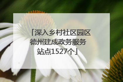 深入乡村社区园区 德州建成政务服务站点1527个