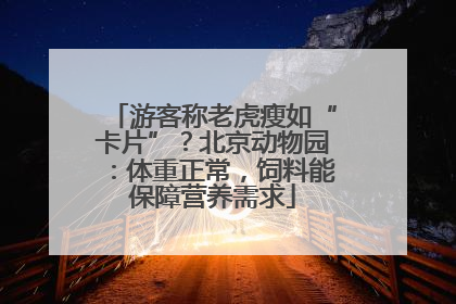 游客称老虎瘦如“卡片”？北京动物园：体重正常，饲料能保障营养需求