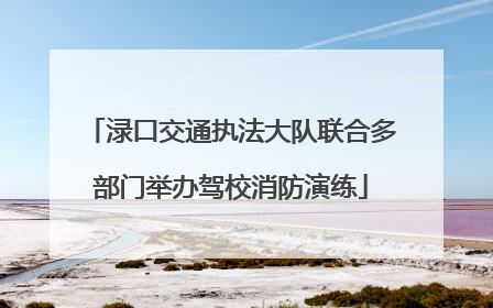 渌口交通执法大队联合多部门举办驾校消防演练