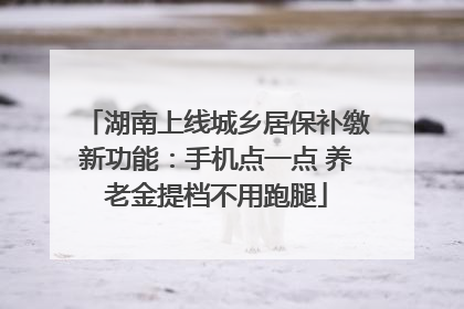湖南上线城乡居保补缴新功能：手机点一点 养老金提档不用跑腿