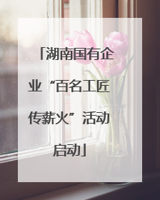 湖南国有企业“百名工匠传薪火”活动启动