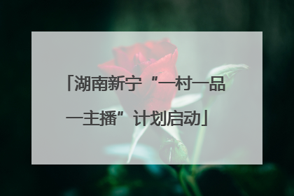 湖南新宁“一村一品一主播”计划启动