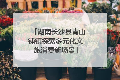 湖南长沙县青山铺镇探索多元化文旅消费新场景