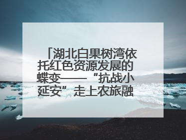 湖北白果树湾依托红色资源发展的蝶变——“抗战小延安”走上农旅融合振兴路