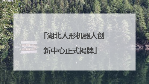 湖北人形机器人创新中心正式揭牌