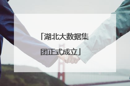 湖北大数据集团正式成立