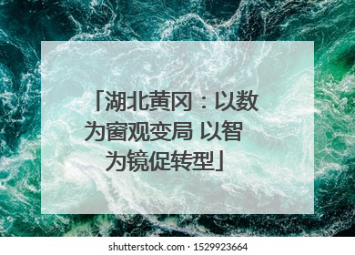 湖北黄冈：以数为窗观变局 以智为镜促转型