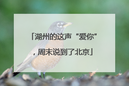湖州的这声“爱你”，周末说到了北京