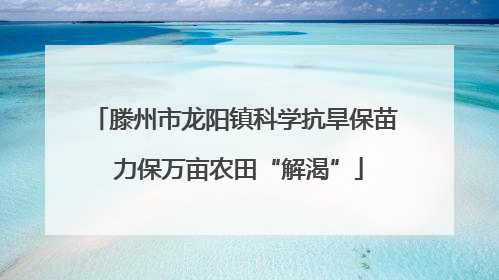 滕州市龙阳镇科学抗旱保苗 力保万亩农田“解渴”