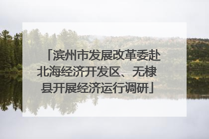 滨州市发展改革委赴北海经济开发区、无棣县开展经济运行调研