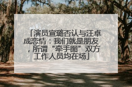 演员宣璐否认与汪卓成恋情：我们就是朋友，所谓“牵手图”双方工作人员均在场