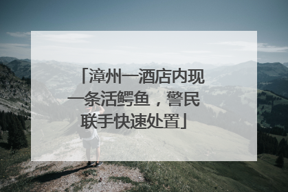 漳州一酒店内现一条活鳄鱼，警民联手快速处置