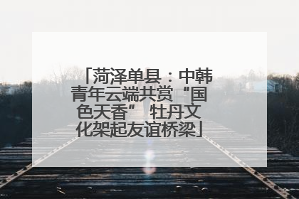菏泽单县：中韩青年云端共赏“国色天香” 牡丹文化架起友谊桥梁