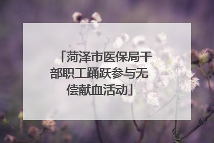 菏泽市医保局干部职工踊跃参与无偿献血活动