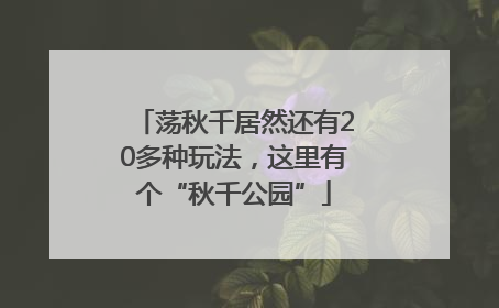 荡秋千居然还有20多种玩法，这里有个“秋千公园”