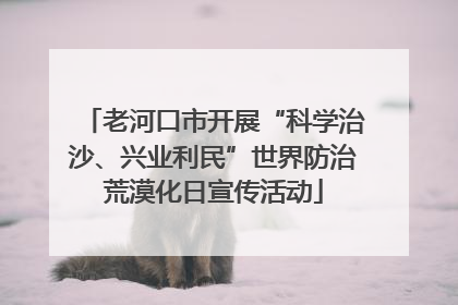 老河口市开展“科学治沙、兴业利民”世界防治荒漠化日宣传活动