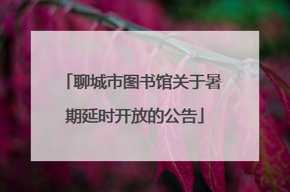 聊城市图书馆关于暑期延时开放的公告