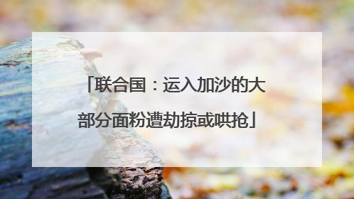 联合国：运入加沙的大部分面粉遭劫掠或哄抢