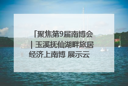 聚焦第9届南博会｜玉溪抚仙湖畔旅居经济上南博 展示云南生活新样本