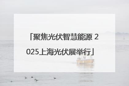 聚焦光伏智慧能源 2025上海光伏展举行