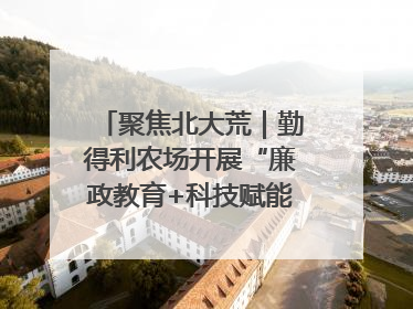 聚焦北大荒｜勤得利农场开展“廉政教育+科技赋能”主题党日活动