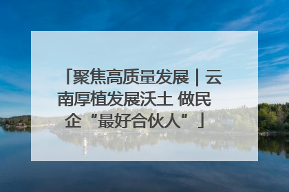 聚焦高质量发展｜云南厚植发展沃土 做民企“最好合伙人”