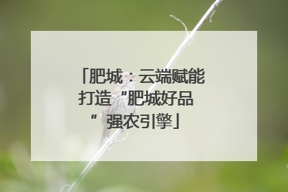 肥城：云端赋能 打造“肥城好品”强农引擎