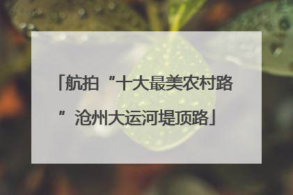 航拍“十大最美农村路”沧州大运河堤顶路
