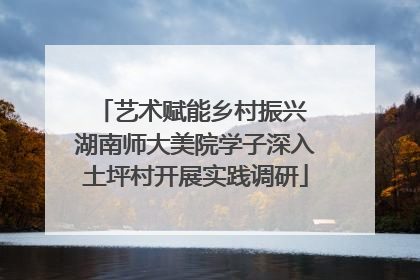 艺术赋能乡村振兴 湖南师大美院学子深入土坪村开展实践调研