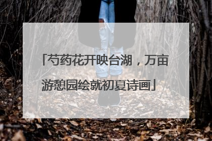 芍药花开映台湖，万亩游憩园绘就初夏诗画