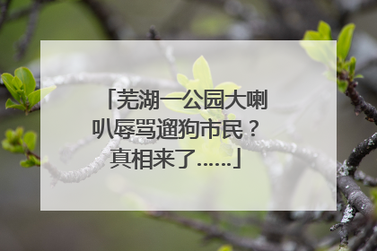 芜湖一公园大喇叭辱骂遛狗市民？真相来了……
