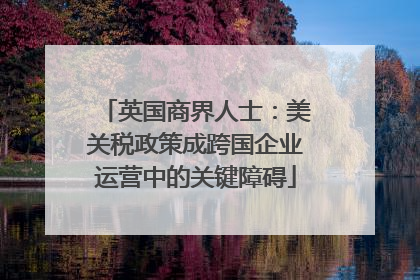 英国商界人士：美关税政策成跨国企业运营中的关键障碍