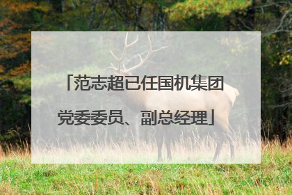 范志超已任国机集团党委委员、副总经理