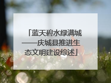 蓝天碧水绿满城——庆城县推进生态文明建设综述