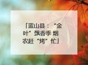 蓝山县：“金叶”飘香季 烟农赶“烤”忙