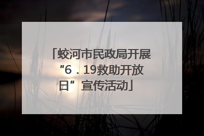 蛟河市民政局开展“6．19救助开放日”宣传活动