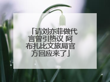 请刘亦菲做代言曾引热议 阿布扎比文旅局官方回应来了