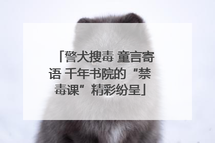 警犬搜毒 童言寄语 千年书院的“禁毒课”精彩纷呈