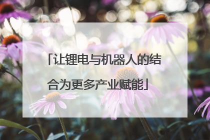 让锂电与机器人的结合为更多产业赋能