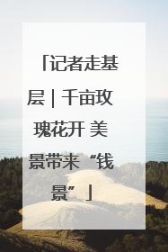 记者走基层｜千亩玫瑰花开 美景带来“钱景”