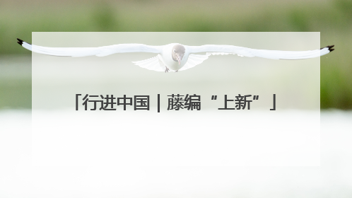 行进中国｜藤编“上新”