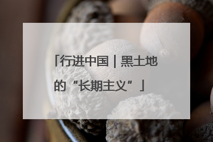 行进中国｜黑土地的“长期主义”