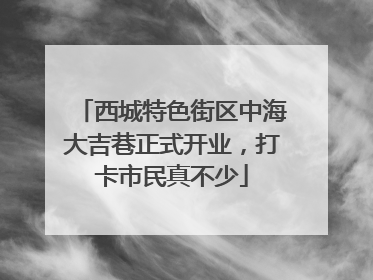 西城特色街区中海大吉巷正式开业，打卡市民真不少