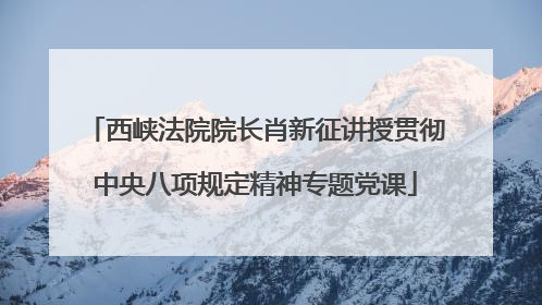 西峡法院院长肖新征讲授贯彻中央八项规定精神专题党课