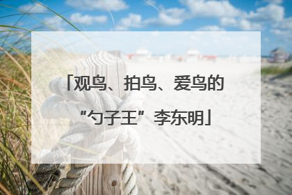 观鸟、拍鸟、爱鸟的“勺子王”李东明