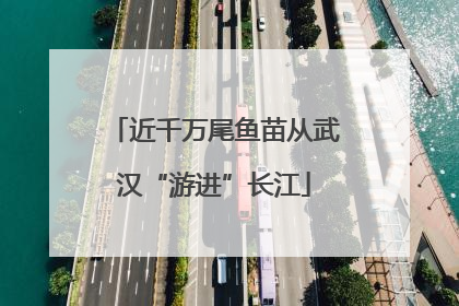 近千万尾鱼苗从武汉“游进”长江