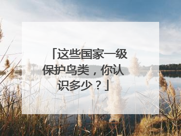 这些国家一级保护鸟类，你认识多少？