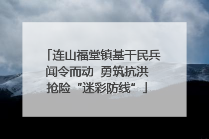 连山福堂镇基干民兵闻令而动  勇筑抗洪抢险“迷彩防线”