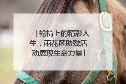 轮椅上的精彩人生，雨花区助残活动展现生命力量